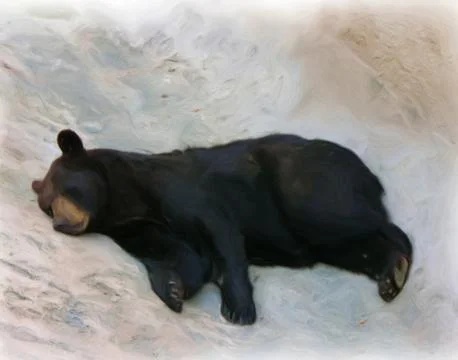 Don't Poke The Bear Stock Illustration