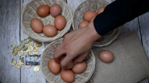 Don't put all your eggs in one basket concept. eggs in a rattan basket Stock Footage 233518466