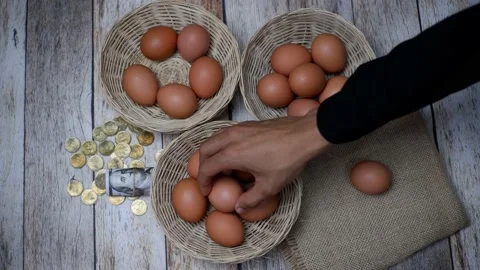 Don't put all your eggs in one basket concept. eggs in a rattan basket Stock Footage 233518681