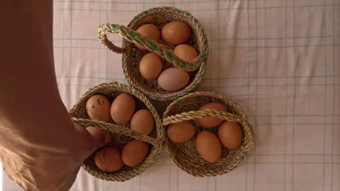  "Don't put all your eggs in one basket" 動画素材 244011267