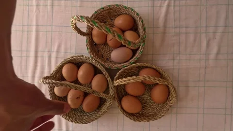  "Don't put all your eggs in one basket" 動画素材 244013279