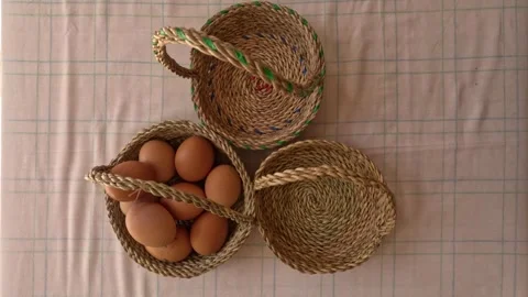  "Don't put all your eggs in one basket" 스톡 동영상 244015475