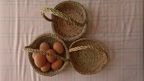  "Don't put all your eggs in one basket" 動画素材 244018685