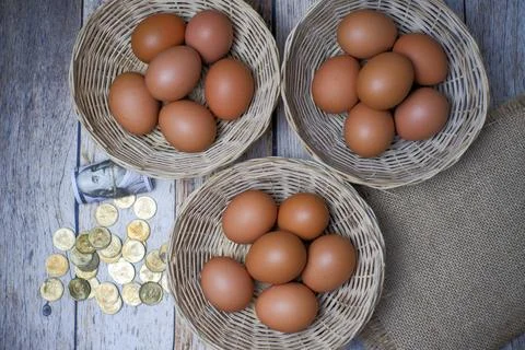 Don't put all your eggs in one basket concept. eggs in a rattan basket Stock Photos