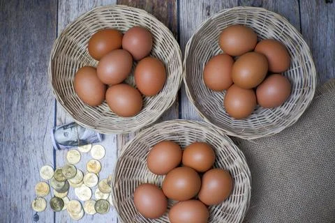 Don't put all your eggs in one basket concept. eggs in a rattan basket Stock Photos