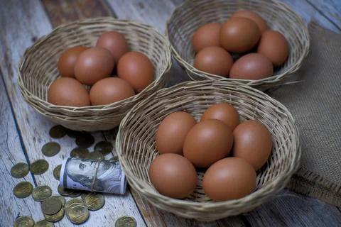 Don't put all your eggs in one basket concept. eggs in a rattan basket Foto stock