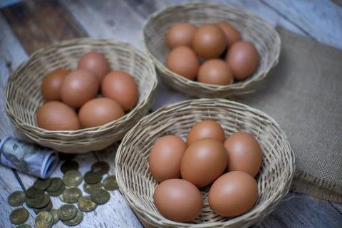 Don't put all your eggs in one basket concept. eggs in a rattan basket Stock Photos