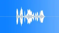 Don't put off for tomorrow what you can do today Female Voice Sound Effect