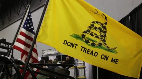 Don't Tread on Me Flag and US Flag Together Stock Footage 64907200
