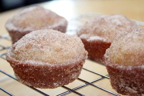Donut muffins Stock Photos