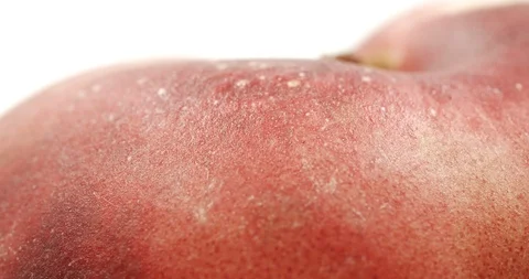 Donut peach isolated rotates on itself on white background. Stock Footage 113348112