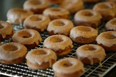 Donuts on a Cooling Rack Stock Photos