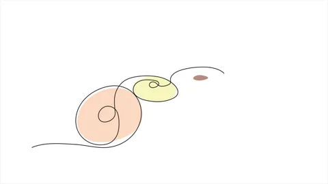 Donuts Stock Footage 321085249