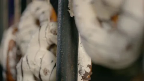 Donuts with sweet coating up close Video stock 220625103