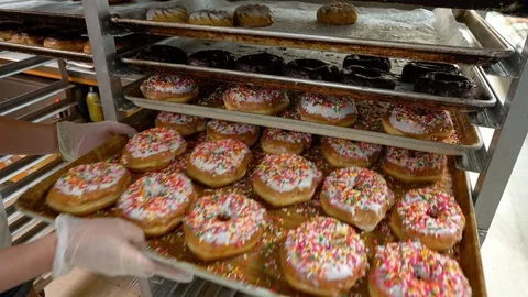 Donuts on Tray Stock Footage 79212326