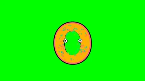 Donutt Animated with Donut on Chroma Key for Compositing Video stock 336892875