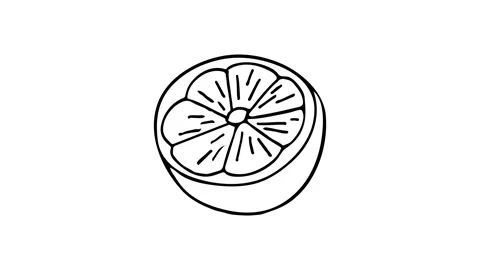 Doodle animation of cut lemon. Cut lemon line drawing illustration. Stock Footage 160647136