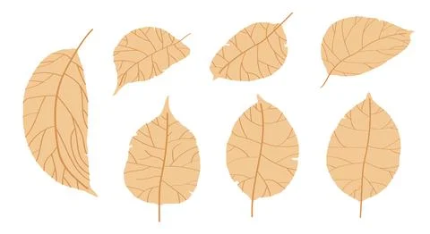 Doodle apple tree leaves isolated on white background. Autumn fallen leaves o Stock Illustration