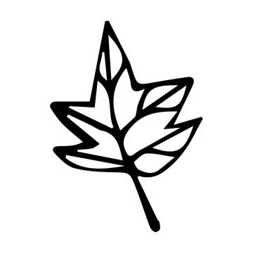Doodle autumn leaf. Hand-drawn fall decoration Stock Illustration