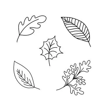 Doodle autumn leaves set. Fall leaf nature icons over white background. Nature Ilustração Stock