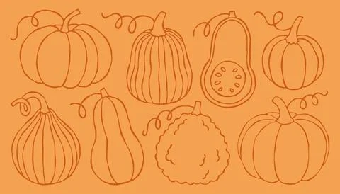 Doodle autumn pumpkins vector line art set isolated on orange background. Ideal イラスト素材