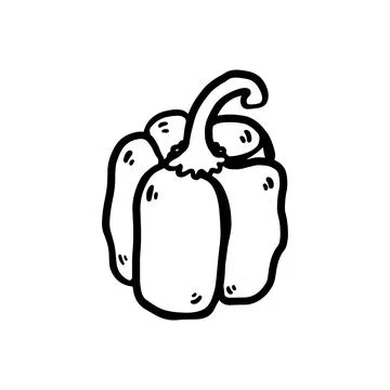Doodle Bell Pepper Vector Drawing Stock Illustration