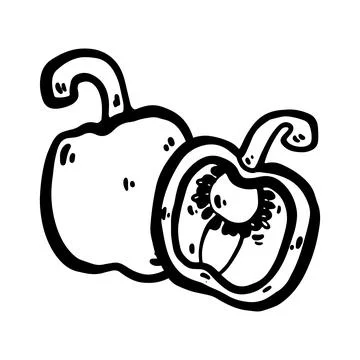 Doodle Bell Pepper Vector Illustration. Hand drawn Stock Illustration