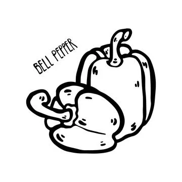 Doodle Bell Pepper. Vector Illustration Stock Illustration