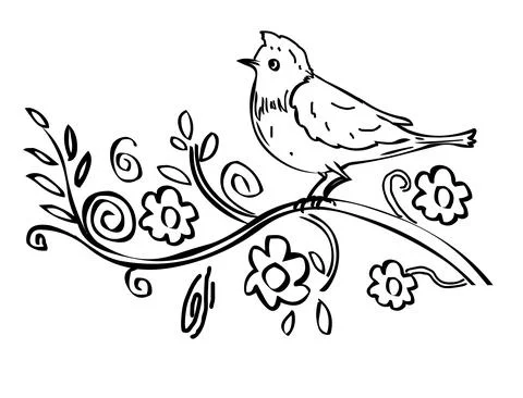 Doodle bird vector black line drawing Stock Illustration