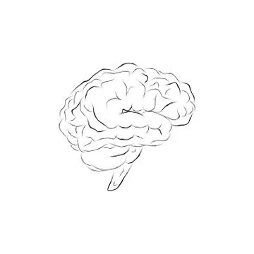 Doodle brain Stock Illustration
