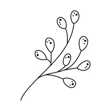 Doodle branch with berries isolated. Vector line art hand drawn illustration  Stock Illustration