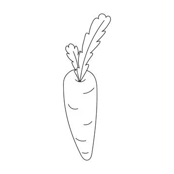 Doodle Carrot with on white background Stock Illustration
