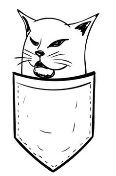 Doodle cat in a pocket Ilustração Stock