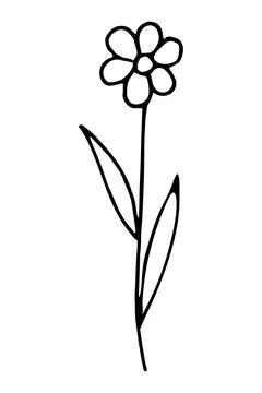Doodle of chamomile isolated on white background. Stock Illustration