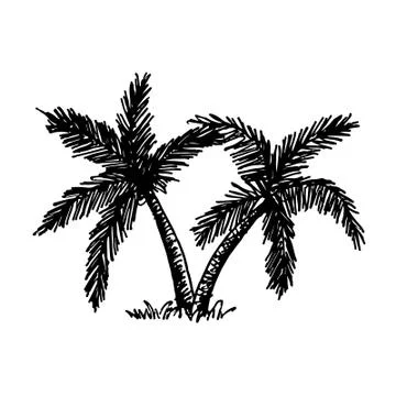 Doodle coconut tree icon hand draw illustration design Stock Illustration