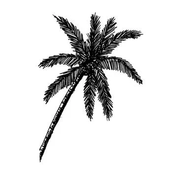 Doodle coconut tree icon hand draw illustration design Illustrazione stock
