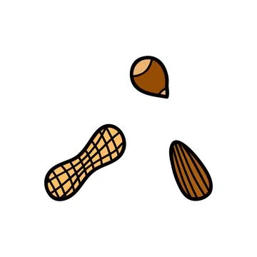 Doodle colored nuts. Stock Illustration