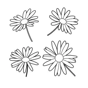 Doodle crayon drawn flowers set. Camomile scribbles, curly line, floral botan Stock Illustration