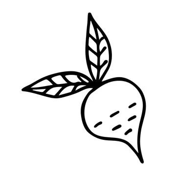 Doodle of cute beet on white background. Stock Illustration