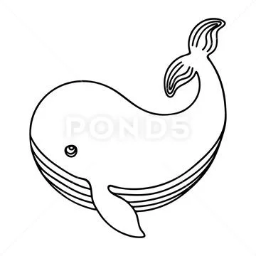 Whale drawing children Cut Out Stock Images & Pictures - Alamy