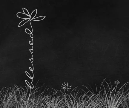 Doodle daisy with blessed text on chalkboard Stock Illustration