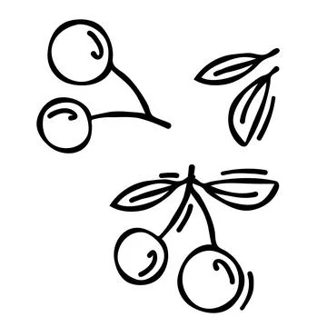 Doodle drawing of cherry isolated on white background, drawn by pen. Thumbn.. Stock Illustration