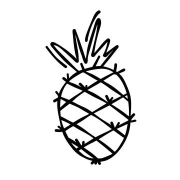 Doodle drawing of pineapple isolated on white background, drawn by pen. Thu.. Stock Illustration