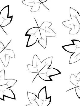 Doodle drawing style image of black and white maple leaf seamless background, イラスト素材