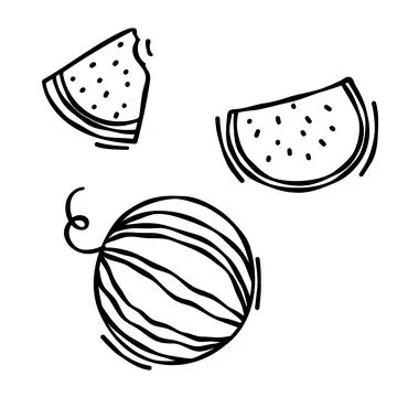 Doodle drawing of watermelon isolated on white background, drawn by pen. Th.. Stock Illustration