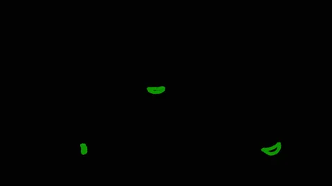 Doodle drawn elements lines flowers and plants Stock-Footage 133201426