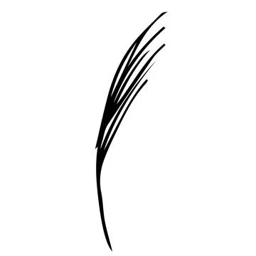 Doodle dry grass. Wild dry herbal pampass Stock Illustration