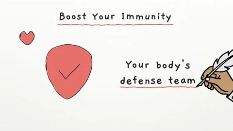 Doodle explainer Boost Your Immunity with sketches of vitamins sleep Stock-Footage 348700240