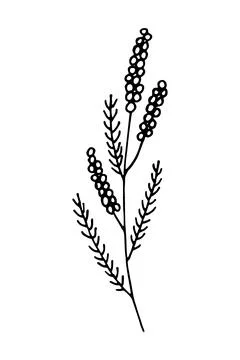 Doodle of a field grass. Stock Illustration