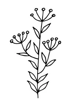 Doodle of a field grass. Stock Illustration